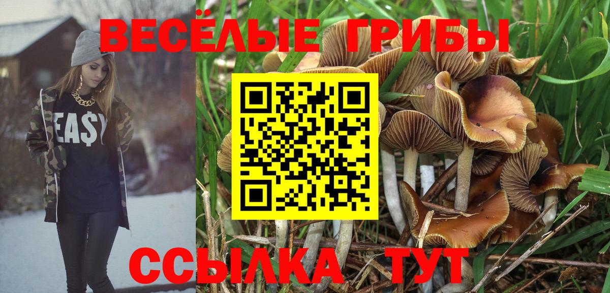 Галлюциногенные грибы ЛСД Белогорск